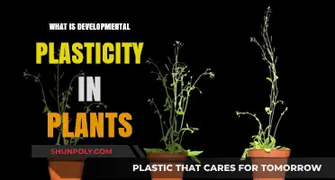 Developmental Plasticity: How Plants Adapt and Survive
