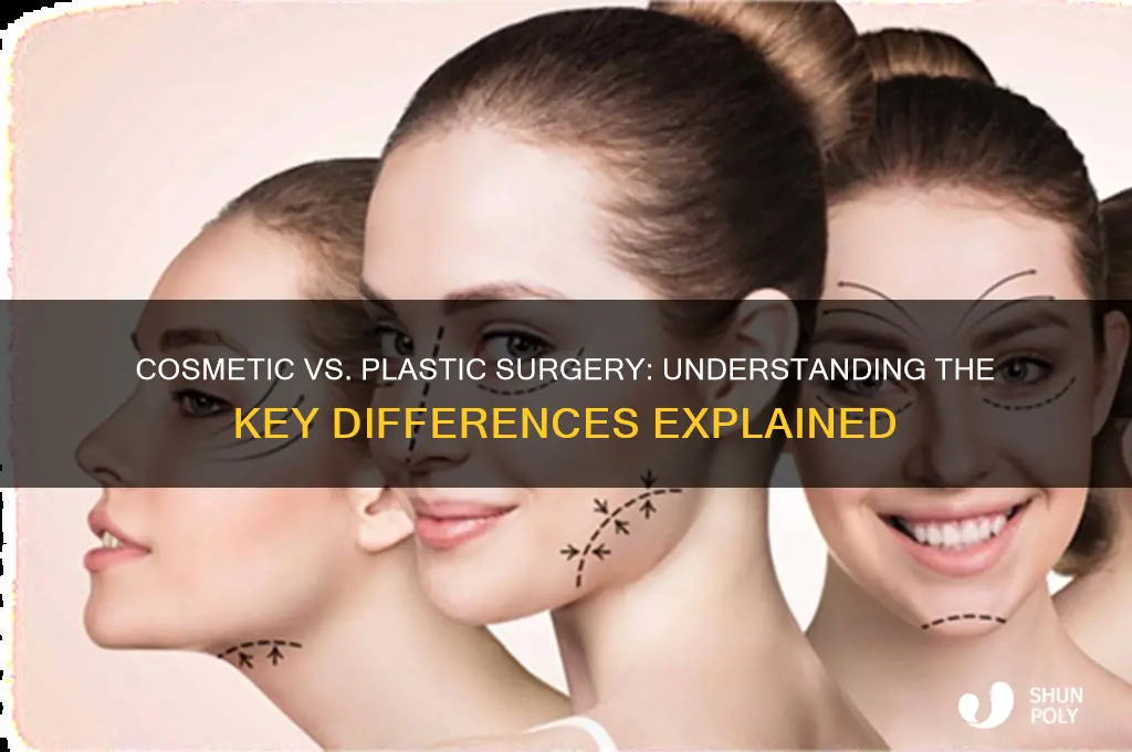 what is difference between cosmetic surgery and plastic surgery