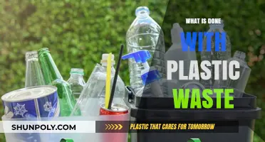 Recycling Plastic Waste: Where Does It Go?