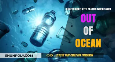 Ocean's Rescue: The Journey of Plastic from Sea to Sustainability