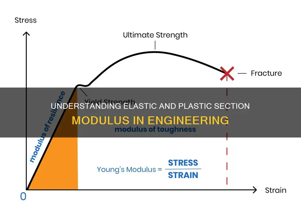what is elastic and plastic section modulus