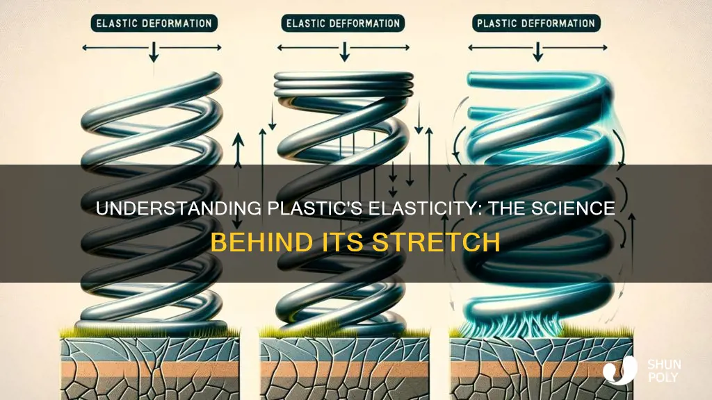 what is elasticity 3n of plastic