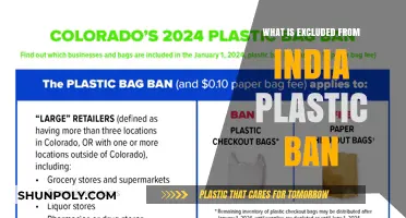 Plastic Ban: What India Still Allows