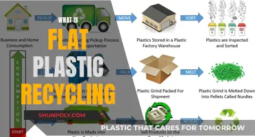 Revolutionizing Plastic Recycling: Flat Plastics' Future