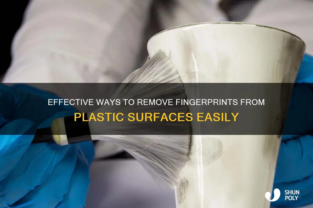 what is good to remove finger prints from plastic