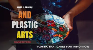 Graphic and Plastic Arts: Exploring Visual Creativity