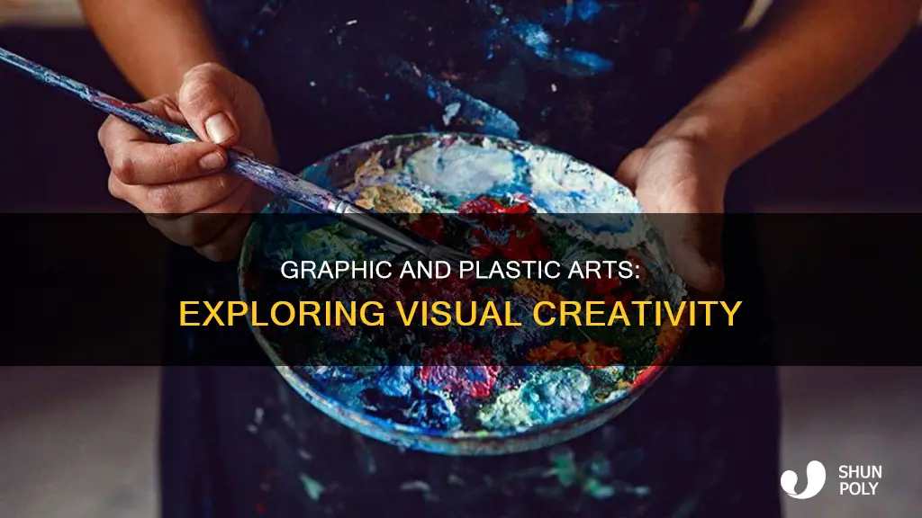 what is graphic and plastic arts