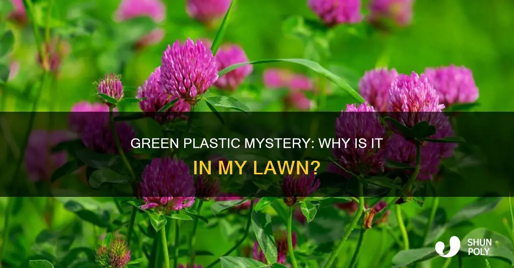 what is green plastic in my lawn