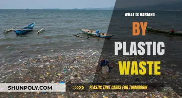 Plastic Waste: Harming Our Planet and Future