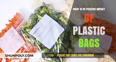 Plastic Bags: Surprising Environmental and Practical Benefits Explained