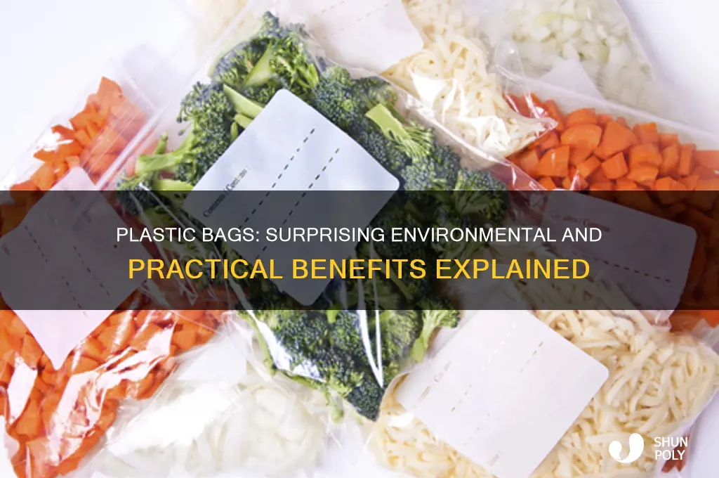 what is he positive impact of plastic bags