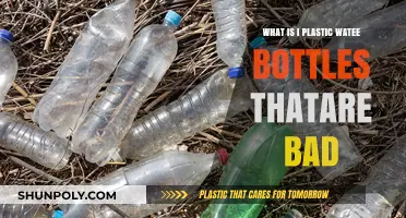 Why Plastic Water Bottles Harm Our Health and Environment