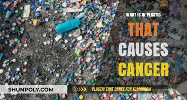 Plastic's Cancer-Causing Chemicals: What's the Risk?