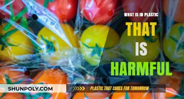 Harmful Chemicals in Plastic: What's the Danger?