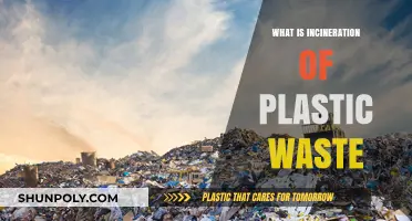 Incineration: Plastic Waste's Burning Question