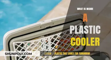 Plastic Coolers: What's Inside and Why?