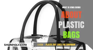 Iowa's Plastic Bag Policies: Current Actions and Future Plans
