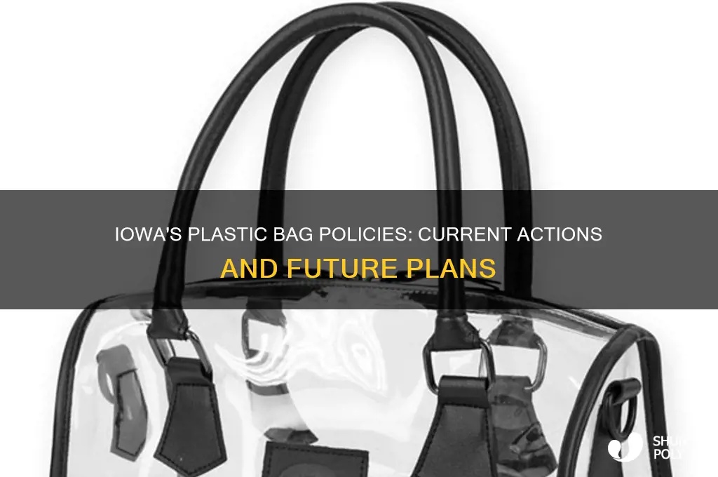 Iowa's Plastic Bag Policies: Current Actions And Future Plans | ShunPoly