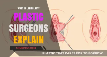 Understanding Labiaplasty: Expert Plastic Surgeons Explain the Procedure