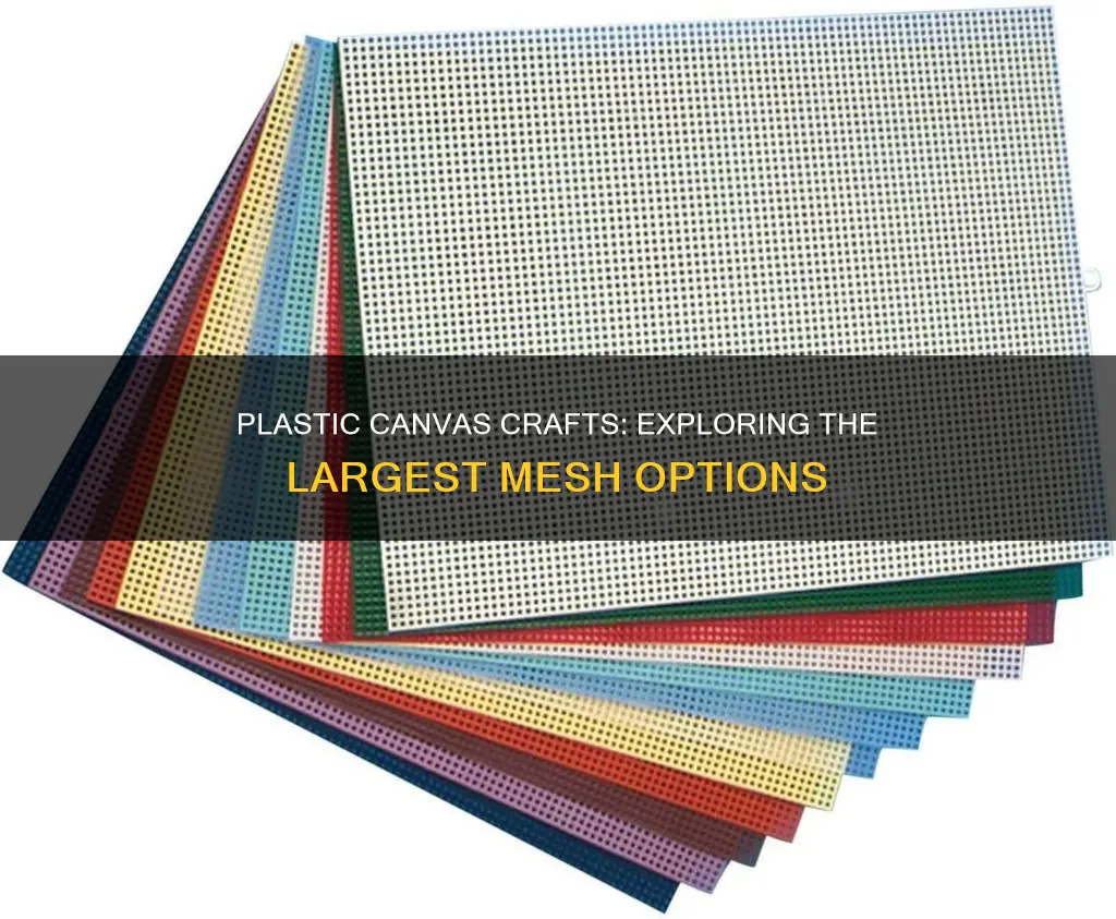 what is largest mesh plastic canvas