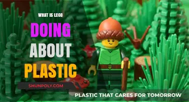 LEGO's Sustainable Plastic Promise: What's Next?