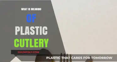 The Plastic Cutlery Conundrum: What's the Point?