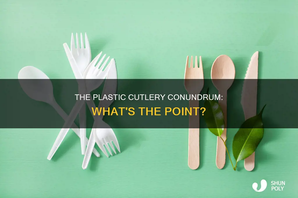 what is meaning of plastic cutlery