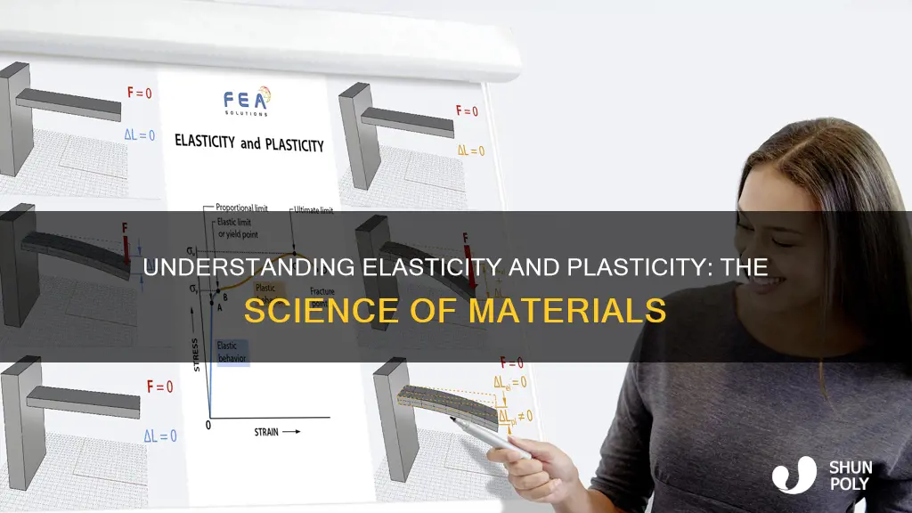 what is meant by elasticity and plasticity