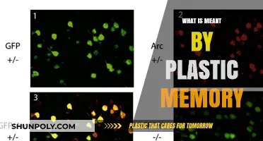 Plastic Memory: Understanding Shape-Shifting Polymers