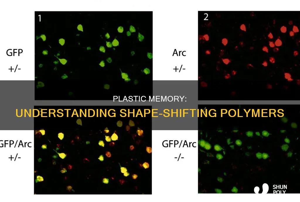 what is meant by plastic memory