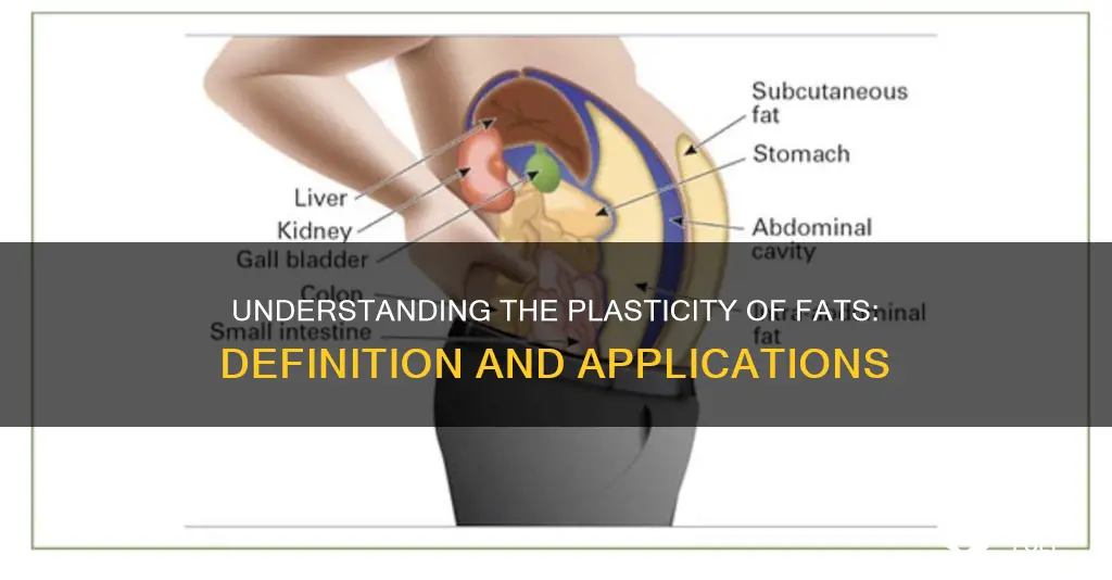 what is meant by plasticity of fats