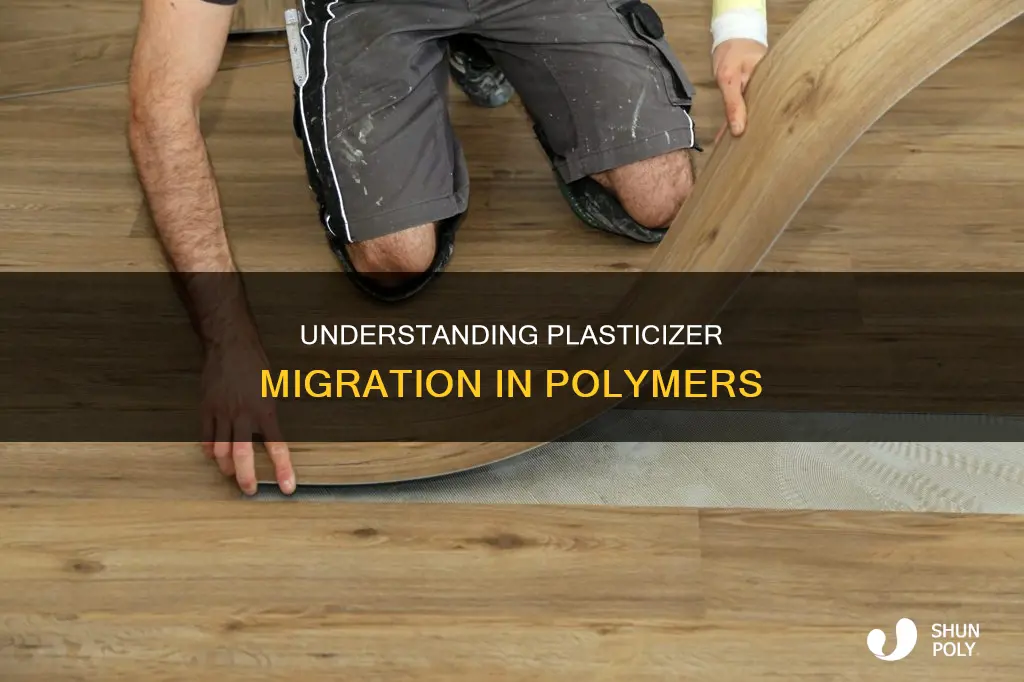 what is meant by plasticizer migration