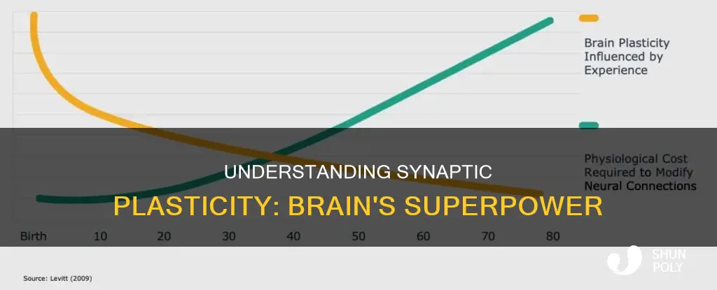 what is meant by synaptic plasticity