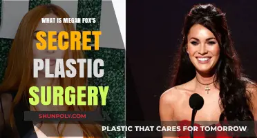 Megan Fox's Plastic Surgery Secrets: Unveiling Her Transformation Journey