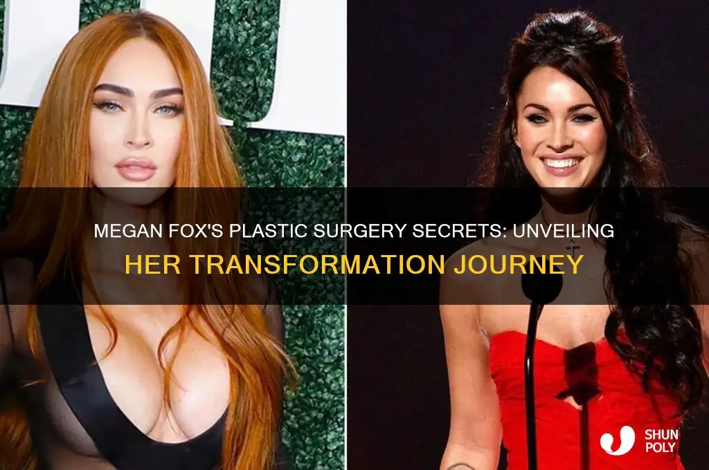 what is megan fox