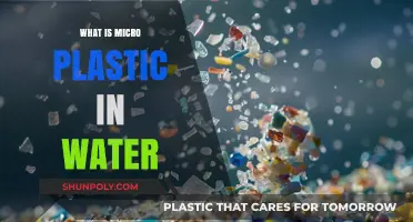 Microplastics in Water: A Hidden Danger