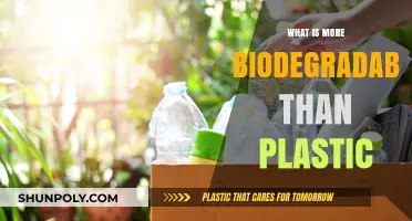 Eco-Friendly Alternatives: Biodegradable Options to Plastic