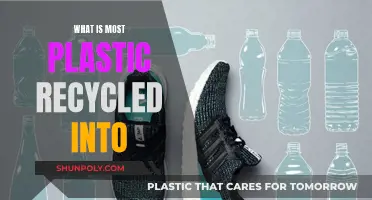 The Plastic Recycling Mystery: What's New from Old?