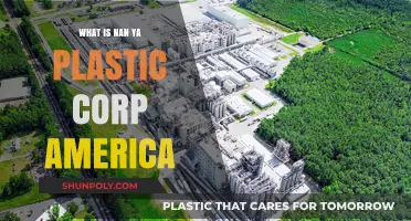 Nan Ya Plastic Corp: An American Overview