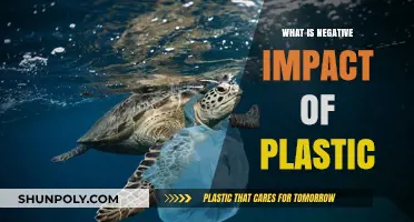 Plastic's Dark Side: Environmental Impact Revealed