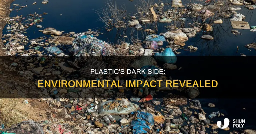 what is negative impact of plastic