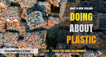 Kiwis' Efforts to Reduce Plastic Pollution
