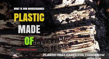 Understanding Non-Biodegradable Plastic: Composition, Impact, and Alternatives