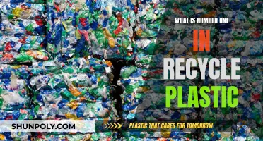 Recycling Plastic: The Top Strategies for a Greener Tomorrow