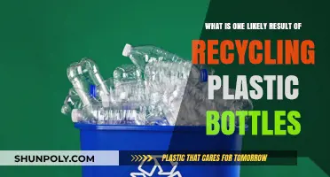 Recycling Plastic Bottles: A Key Step Toward Reducing Environmental Pollution