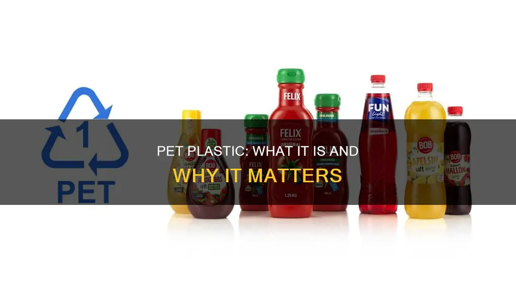 what is p e t plastic