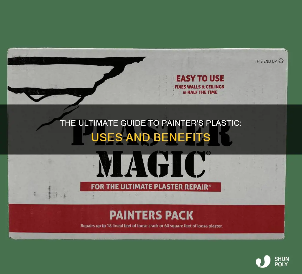 what is painter