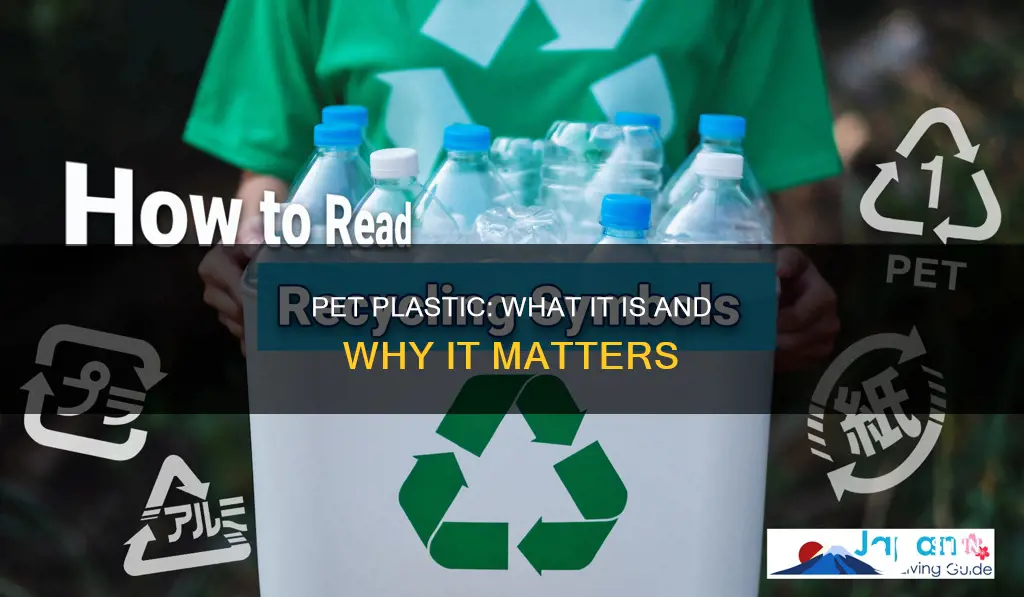 what is pet plastic stand for
