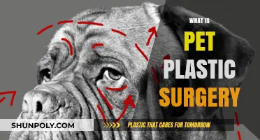 Understanding Pet Plastic Surgery: Benefits, Risks, and Ethical Considerations