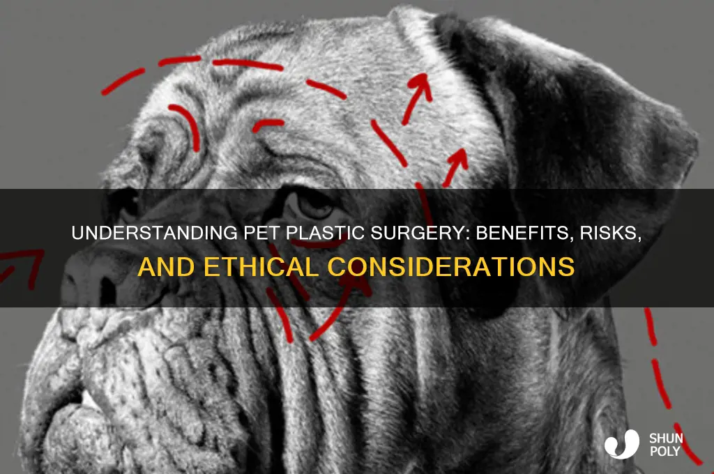 what is pet plastic surgery